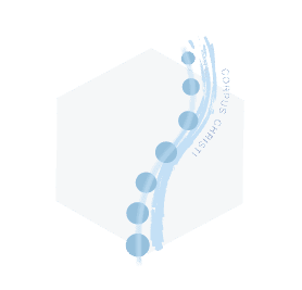 Spine Injury Physicians Logo